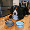 Collapsible Silicone Bowls Manufacturer