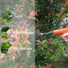 USB Rechargeable Electric Spray Gun – 3-Mode Nozzle, Universal Bottle Fit, Garden & Home | OEM Wholesale